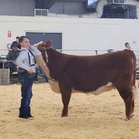 Bulldog of the Week - 3/9/2020
