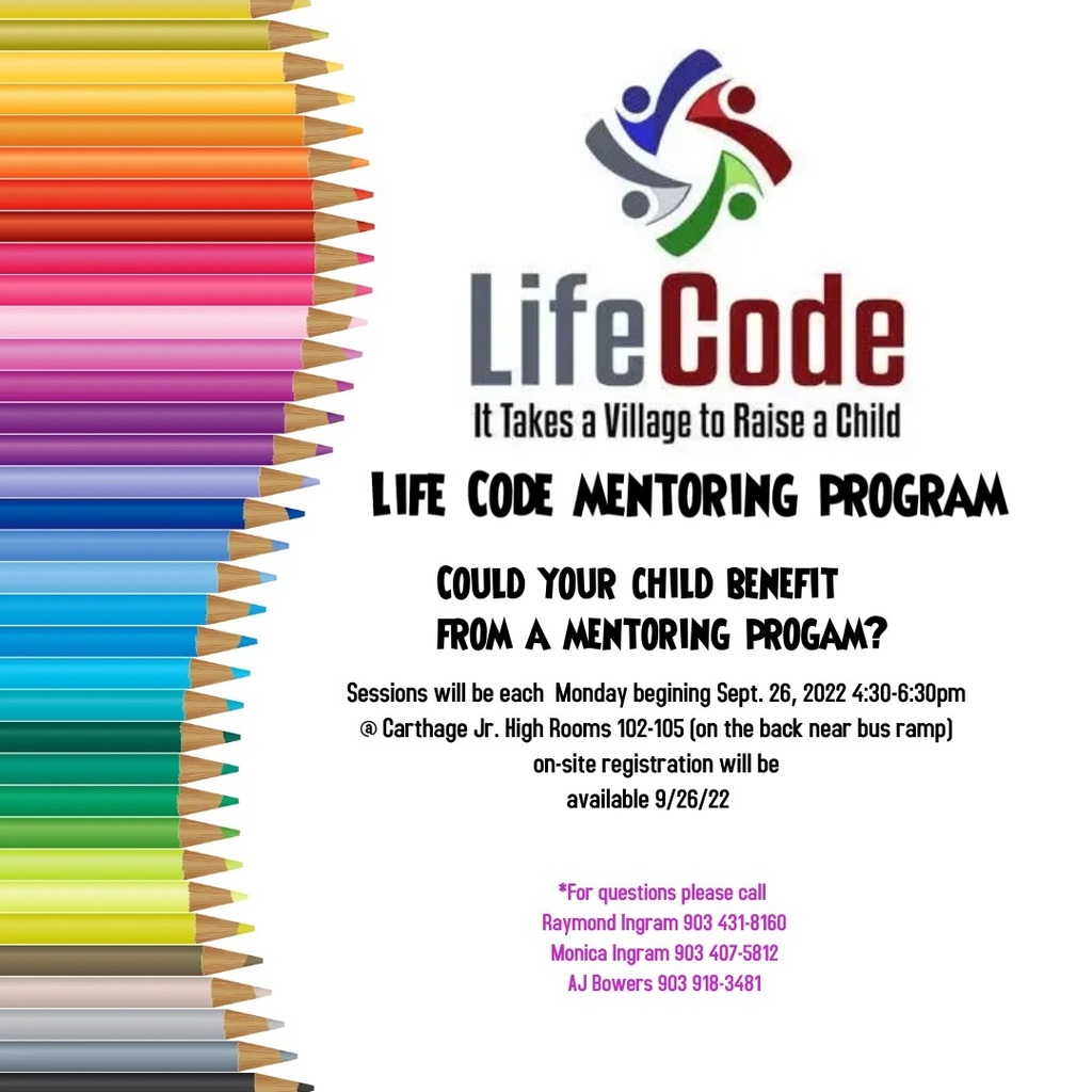 LifeCode Mentoring Program Information